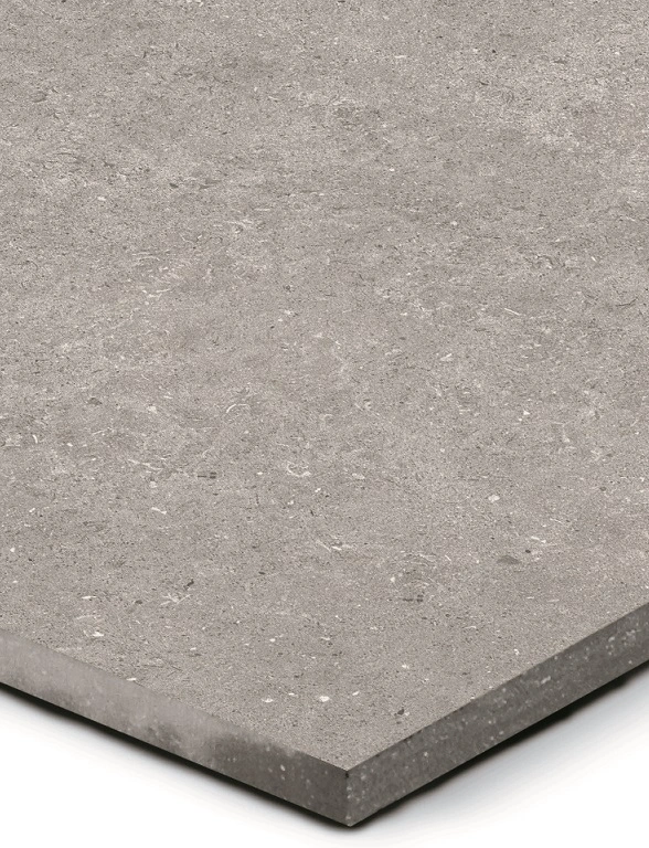 PŁYTY TARASOWE PŁYTY NA TARAS NAŚLADUJĄCE NOWOCZESNY BETON PŁYTY NA DRÓŻKI ŚCIEŻKI DO OGRODU NA PODJAZD TARCON TARASY CERAMIKA SOSNOWSKI POZNAN SUCHY LAS OBORNICKA 49.webp